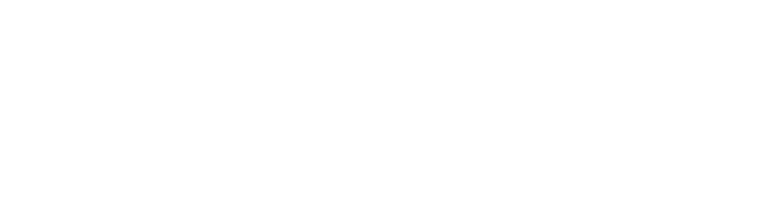 Franz Logo Footer
